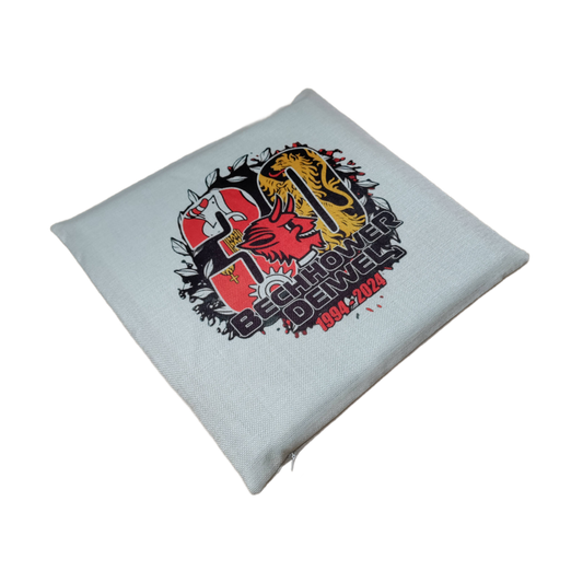 BD Fan Pillow