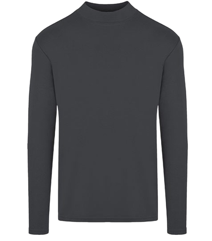 Mens Premium Highneck Long Sleeve Tees
