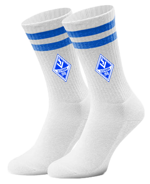 SV Alsenborn socks