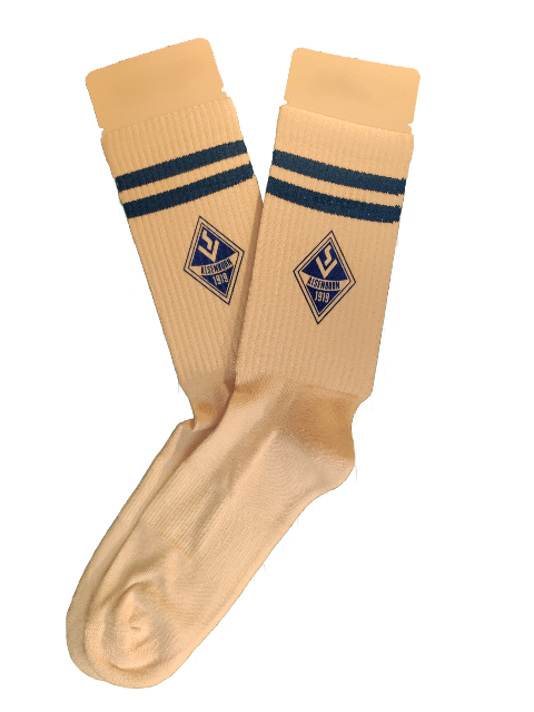 SV Alsenborn socks