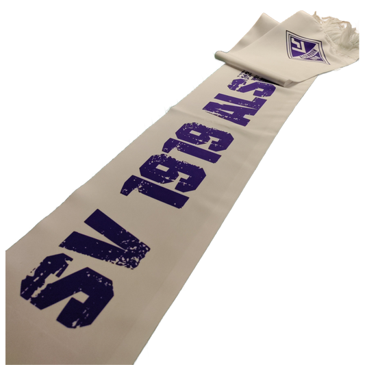 SV Alsenborn printed polyester fan scarf small