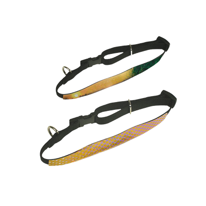 Tierhalsband
